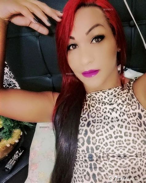 travesti de programa caraguatatuba|Acompanhante Trans Caraguatatuba ⋆ Travesti Com Local